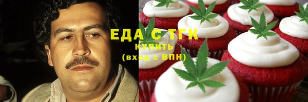 гашик Алексин