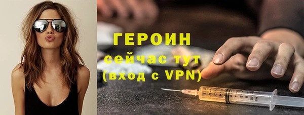 гашик Алексин