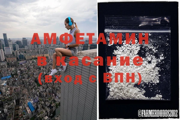 гашик Алексин