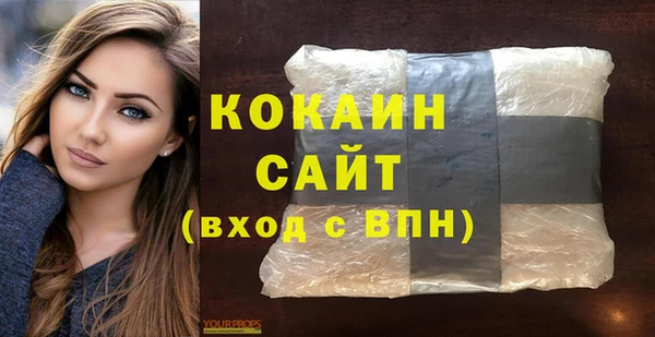 гашик Алексин
