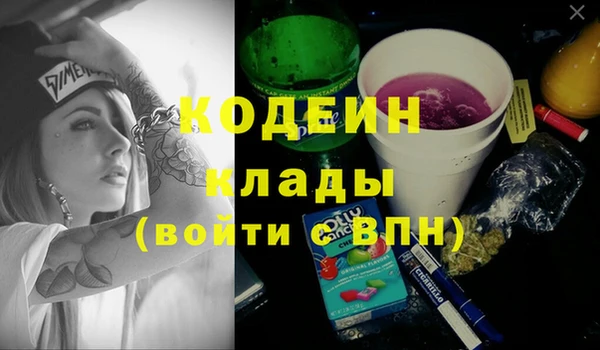 гашик Алексин