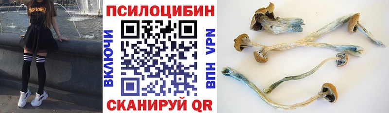 Галлюциногенные грибы ЛСД  блэк спрут онион  Тверь 